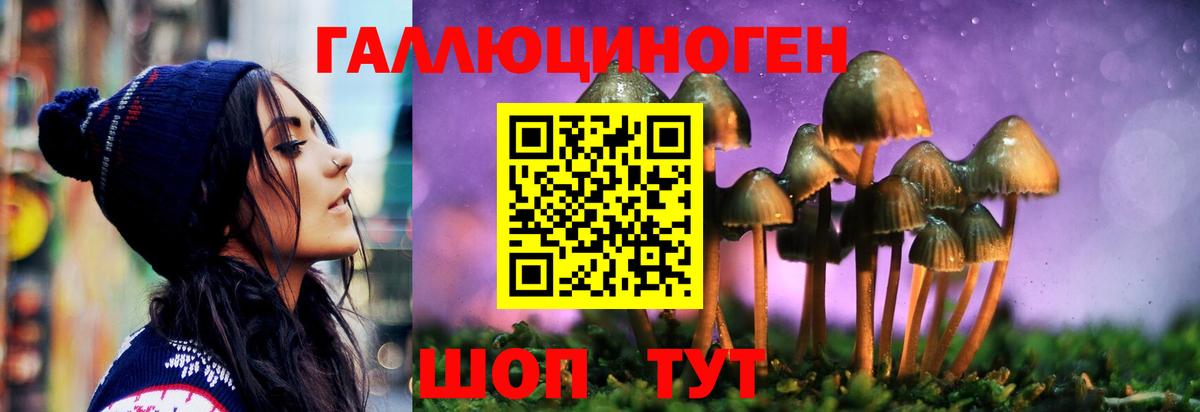 Псилоцибиновые грибы GOLDEN TEACHER Ставрополь