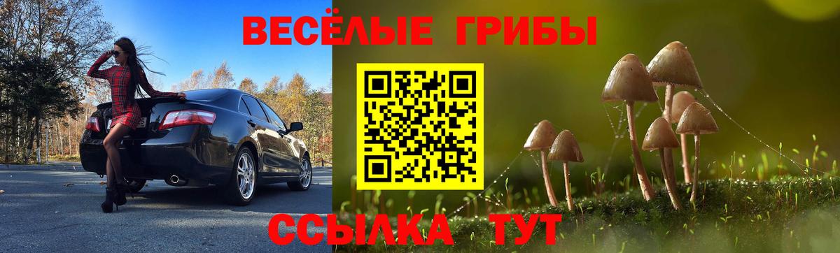 Псилоцибиновые грибы ЛСД  Вход с VPN  Ставрополь 